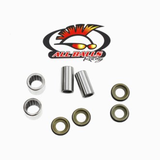 Swing Arm Bearing Kit