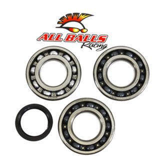 Crankshaft Bearing And Seal Kit
