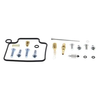 Carburetor Rebuild Kit
