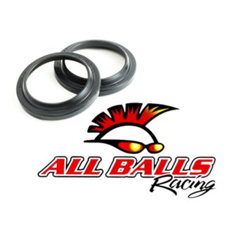Fork Dust Seal Kit