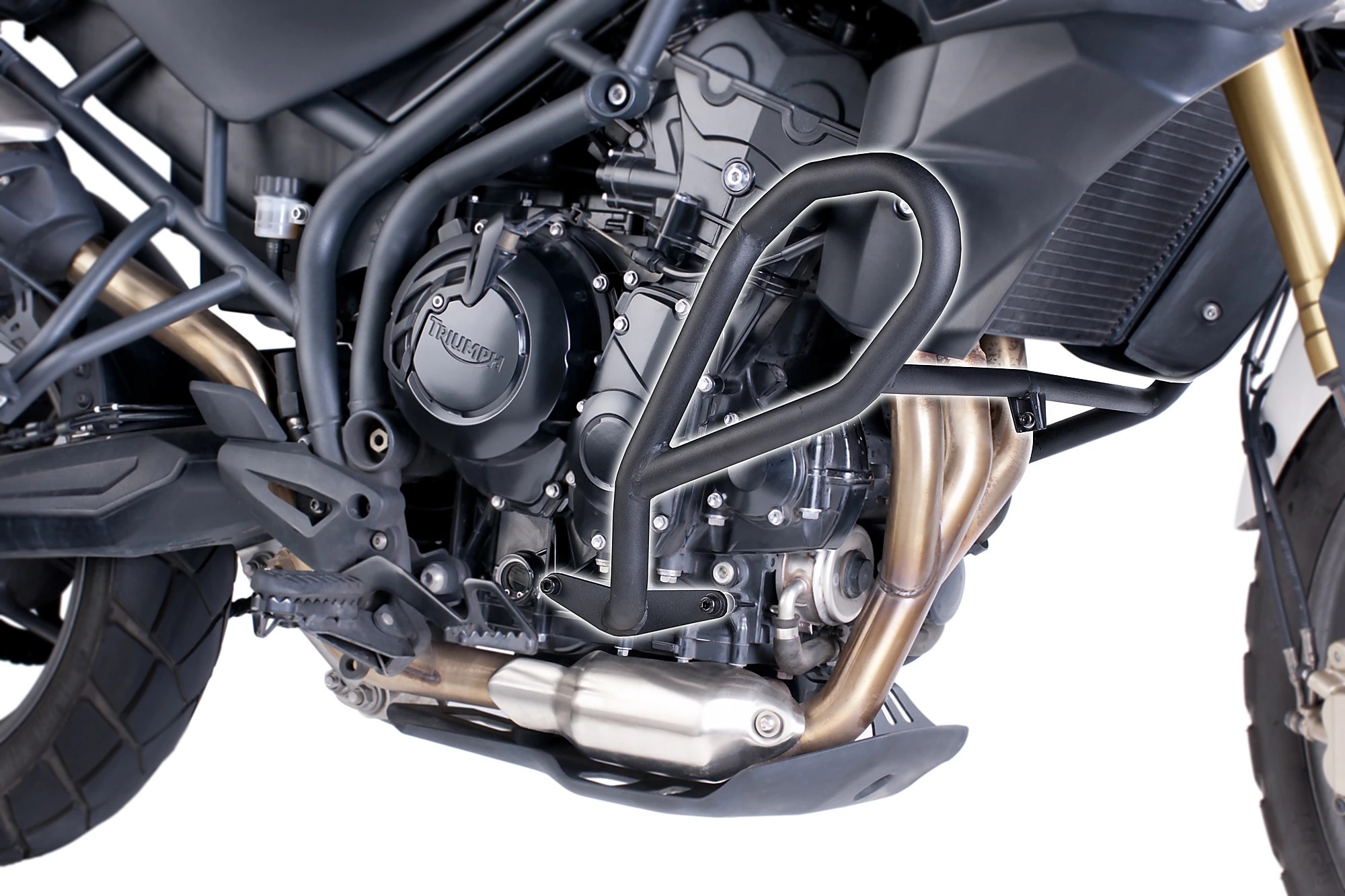 Engine guards