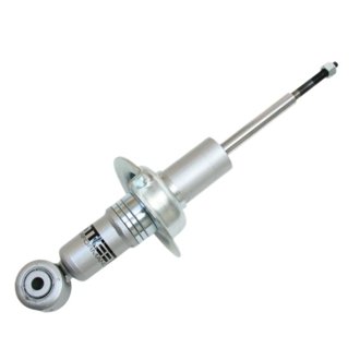 Street Performance Oem Strut (Front