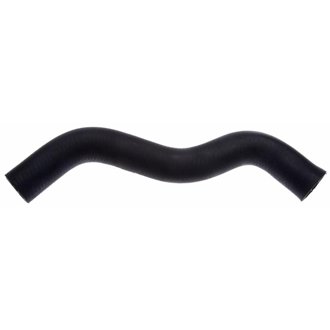 97-02 Ford Escort 4-Cyl. 2.0L Upper Molded Coolant Hose