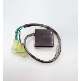 Ricks Motorsport Oem Style Cdi Box