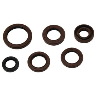Engine Oil Seal Kit