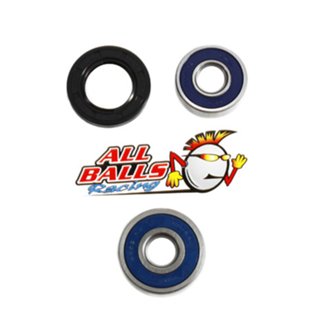 Wheel Bearing Kit Rear