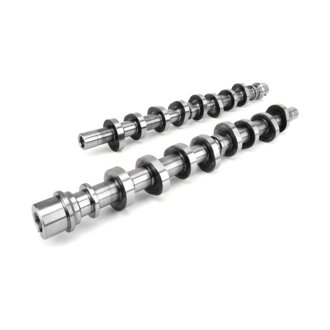 Camshaft Set F4.6S XE248H-11