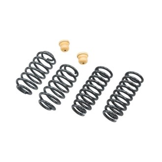 Lowering Kit W/O Shocks