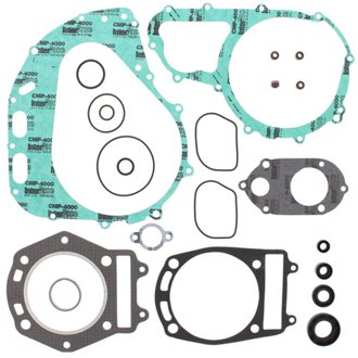 Complete Gasket Kit Withoil Seals