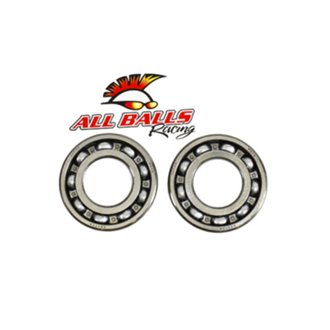 Crank Shaft Bearing And Seal Kit