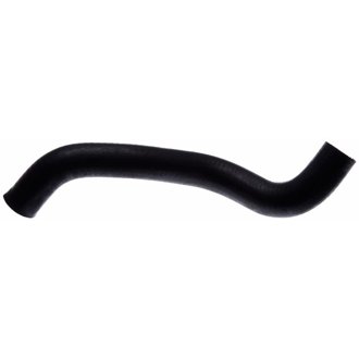 99-01 Mazda Protege 4-Cyl. 1.6L Lower Molded Coolant Hose