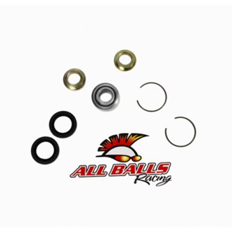 Upper Shock Bearing Kit
