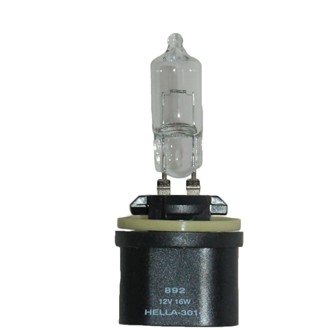 Multi-Purpose Light Bulb