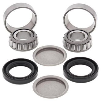 Swing Arm Bearing Kit