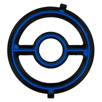Engine Oil Cooler Gasket