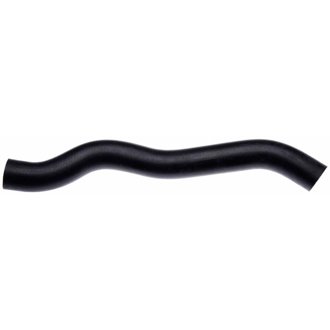 02-08 Dodge Ram Pickup V-6 3.7L Lower Molded Coolant Hose