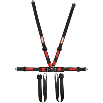 FIA 6 Point Camlock Harness Set