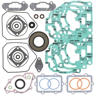 2016 Expedition 600 2-Stroke E-TEC Complete Gasket Kit w/ Seals