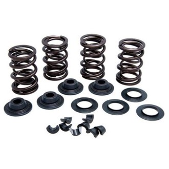 Kpmi Racing Spring Kit Aluminum 0.500" Lift