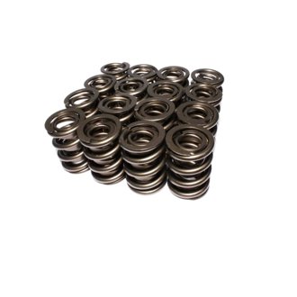 Valve Springs Busch/Supertruc