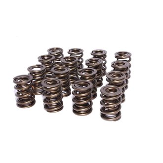 Valve Springs 1.550in Dual