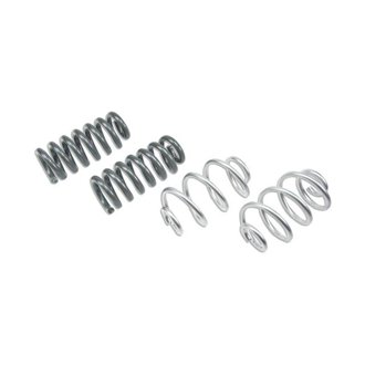 Lowering Kit W/O Shocks