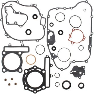 Complete Gasket Kit Withoil Seals