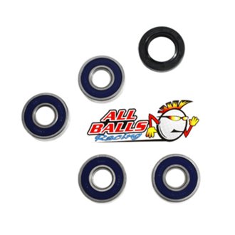 Wheel Bearing Kit Rear