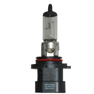 Multi-Purpose Light Bulb