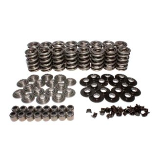 Kit Dual Valve Spring Ts Ls