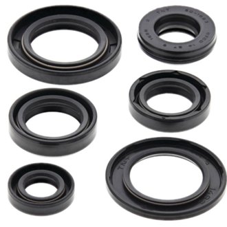 Engine Oil Seal Kit