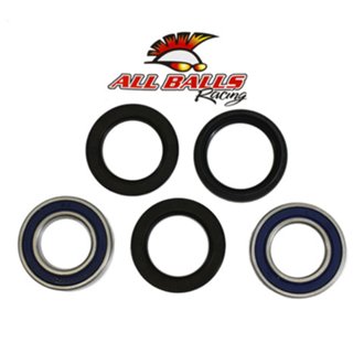 Rear Wheel Bearing Kit - Both Wheels