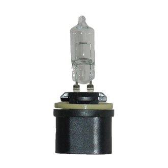 Multi-Purpose Light Bulb