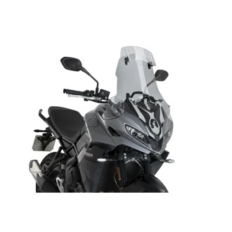 Touring Windshield With Visor Clear