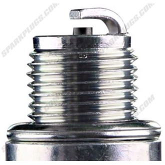 Standard Spark Plug Shop Pack