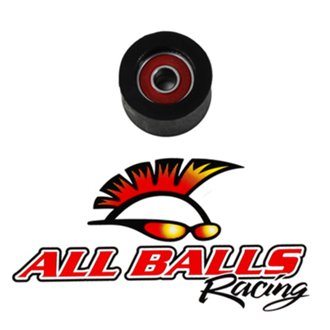 All Balls Chain Roller