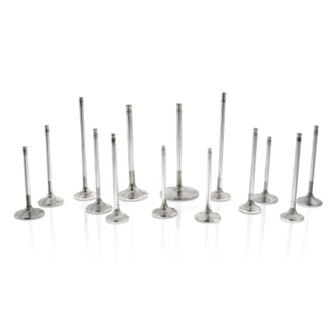 Toyota/BMW B58 3.0L 30.1mm 4.97mm 99.15mm 19 Deg Tapr Flo STD Comp Plus Int Valve - Set of 12