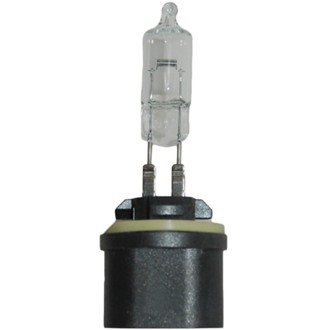 Multi-Purpose Light Bulb