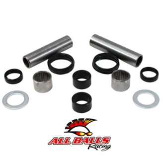 Swing Arm Bearing Kit