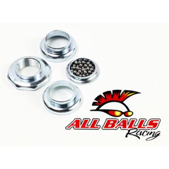 Steering Bearing Kit