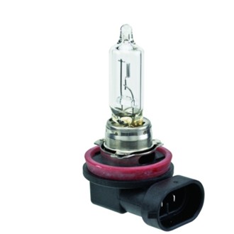 Multi-Purpose Light Bulb