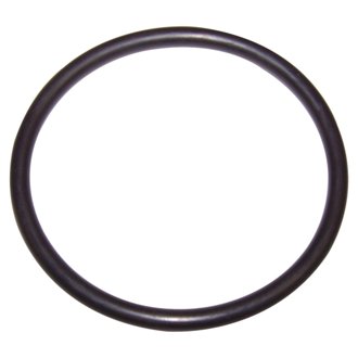 Fuel Seal