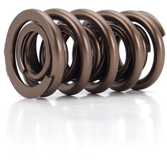 Race Endurance 1.560" OD Dual Spring, 2.050" Installed Height, 1 Spring