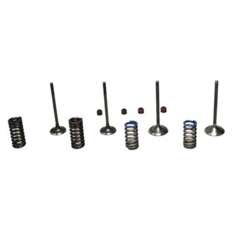 STEEL VALVE SET CRF250R '08-09