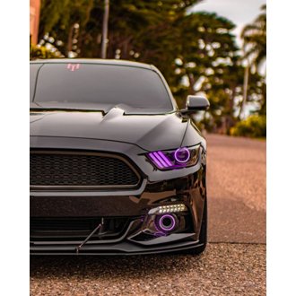 Photo - lifestyle view