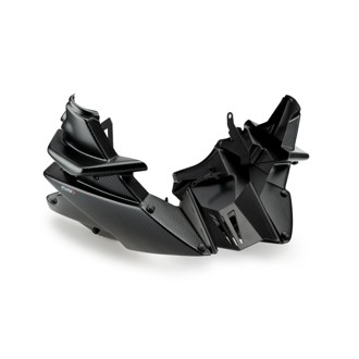 Engine Spoiler Carbon Look