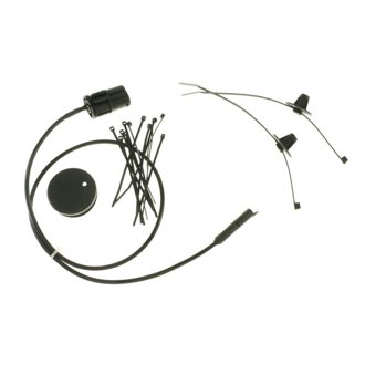 B6 Performance (DampTronic) - Suspension Strut Assembly