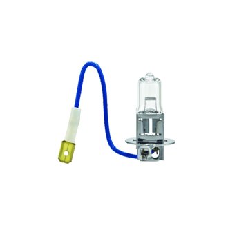 Fog Light Bulb