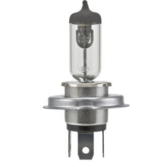 Multi-Purpose Light Bulb