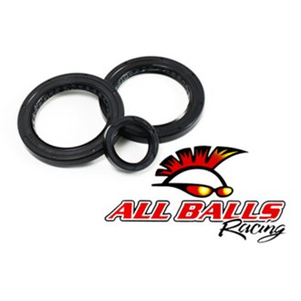 Differential Seal Kit
